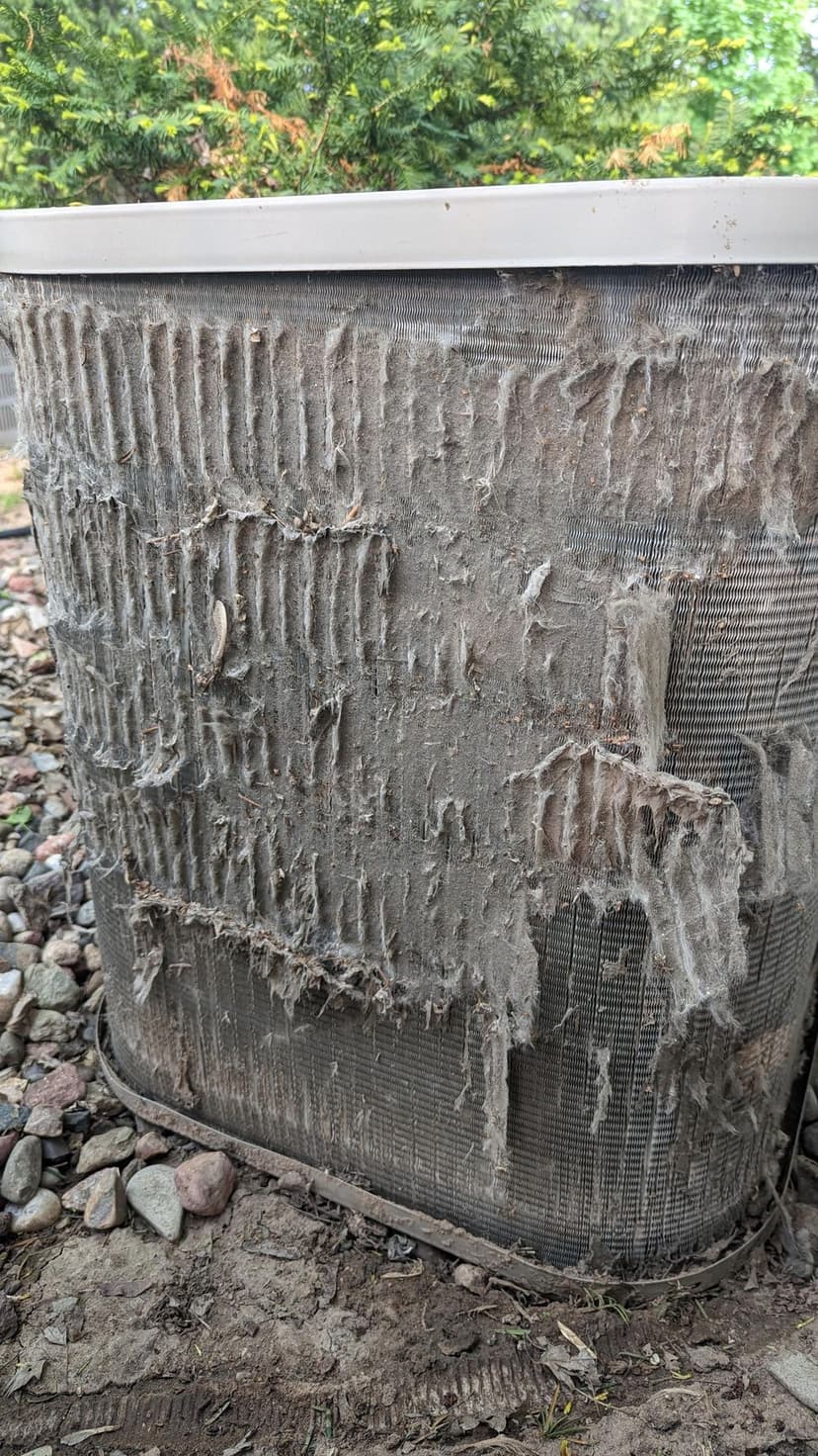 Award-Winning Service's image